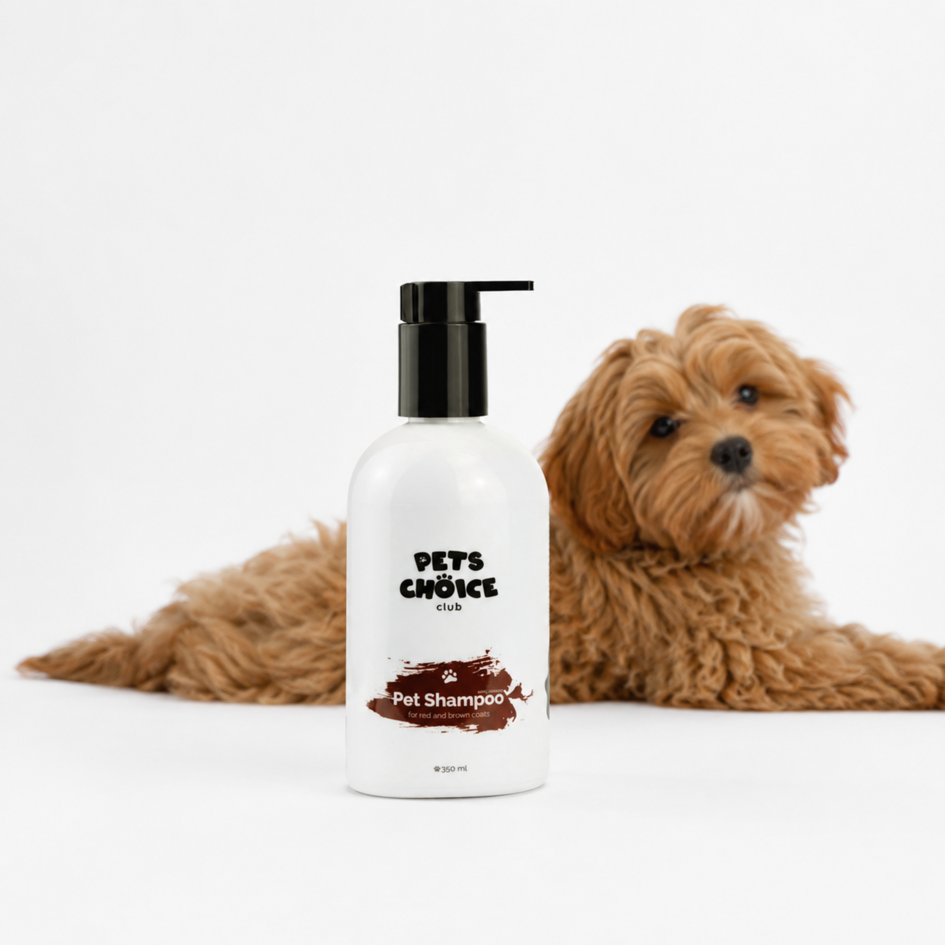 A bottle of Pets Choice Dog Pet Shampoo stands in front of a fluffy golden-brown dog lying on a clean white studio background.