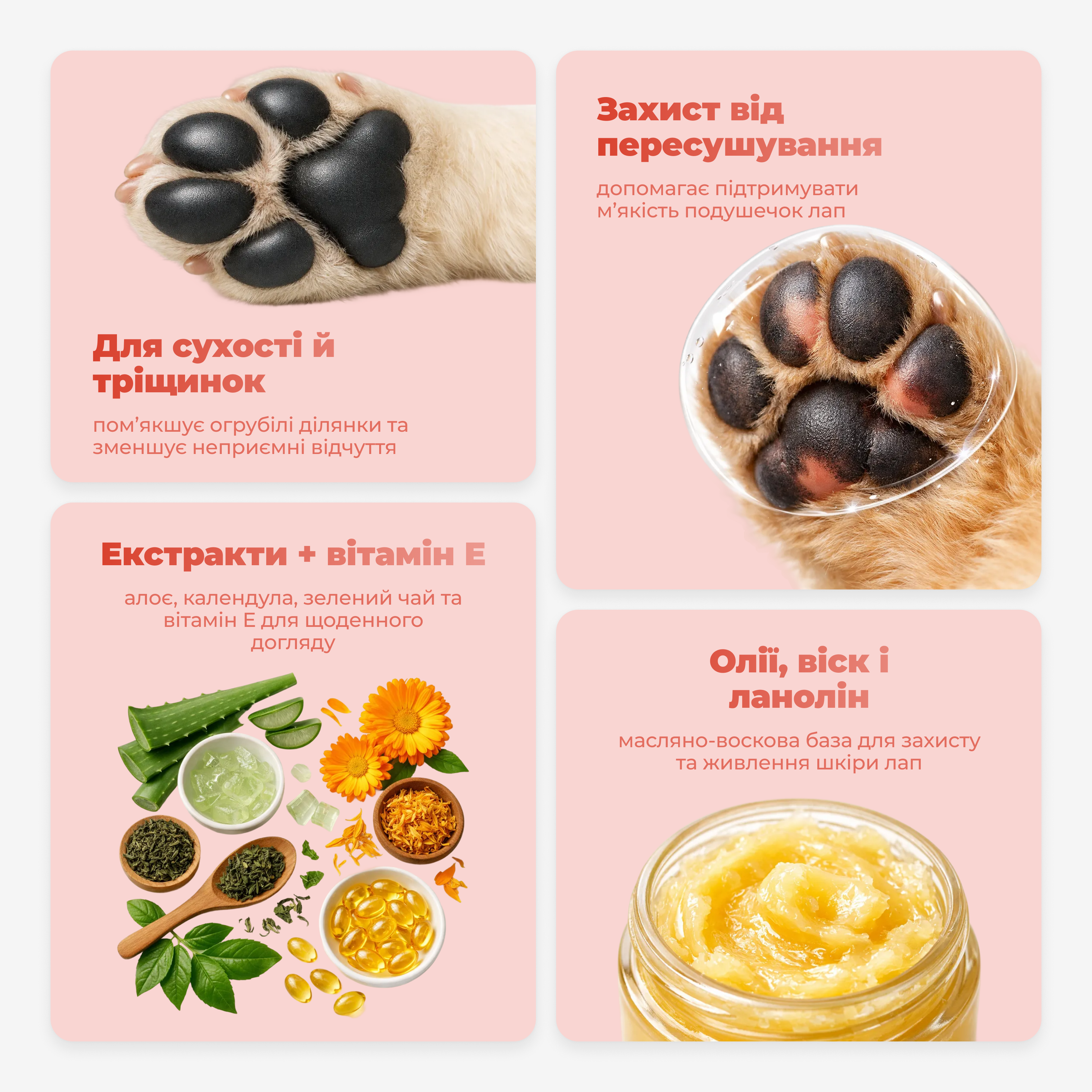 Botanical | PAW & NOSE BALM | Захисний бальзам для лап і носика