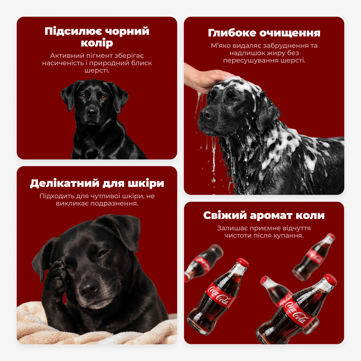 Шампунь для чорних собак BLACK COAT 350 мл – PetsChoice+