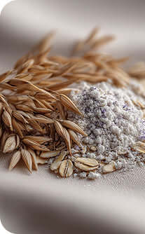 Oats and oat flour on a textured surface