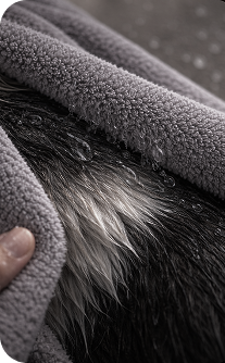 Close-up of a textured gray fabric being used to groom a dog's fur.