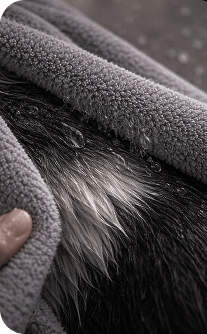 Close-up of a textured gray fabric being used to groom a dog's fur.