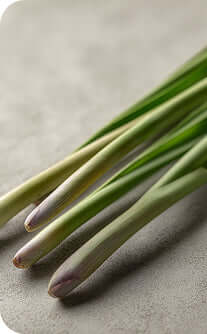 Green onions on a beige surface