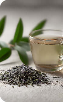 Glass of tea with dry tea leaves and leaves on a light background