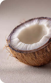 Close-up of a halved coconut on a neutral background