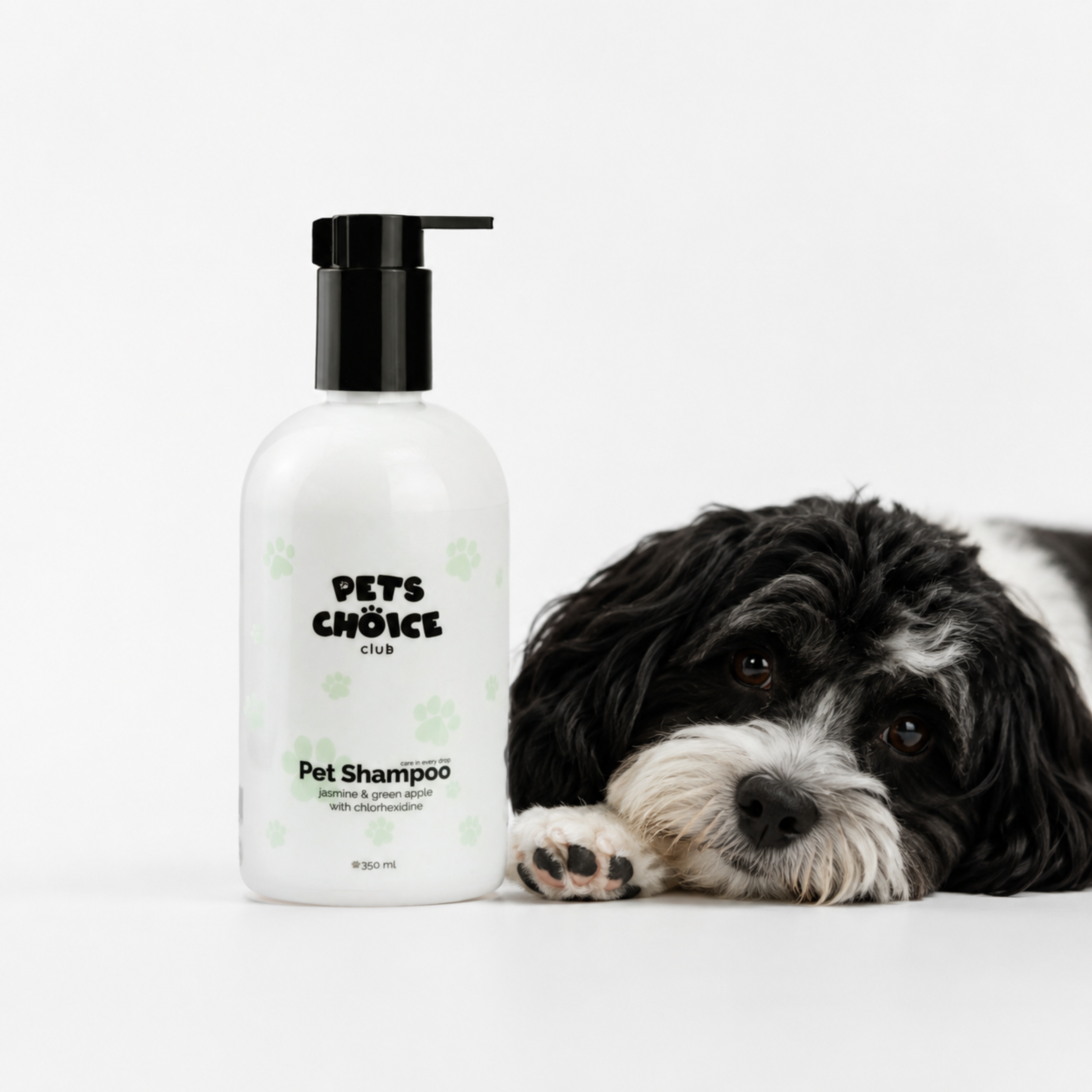 A bottle of Pets Choice Club Pet Shampoo with a black pump, shown next to a black and white dog on a clean white background.