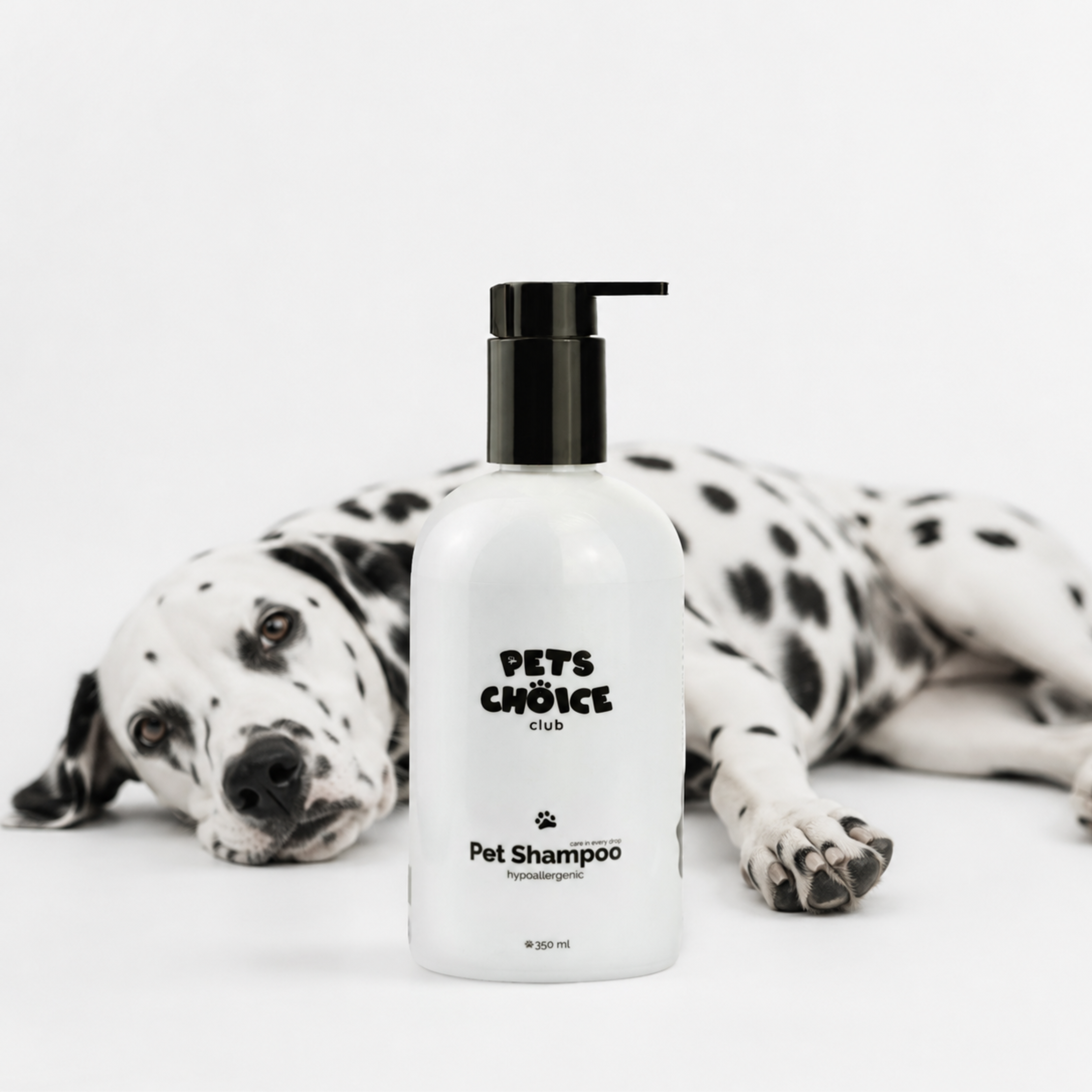A bottle of Pets Choice Club Pet Shampoo stands in front of a Dalmatian dog lying down on a clean white background.