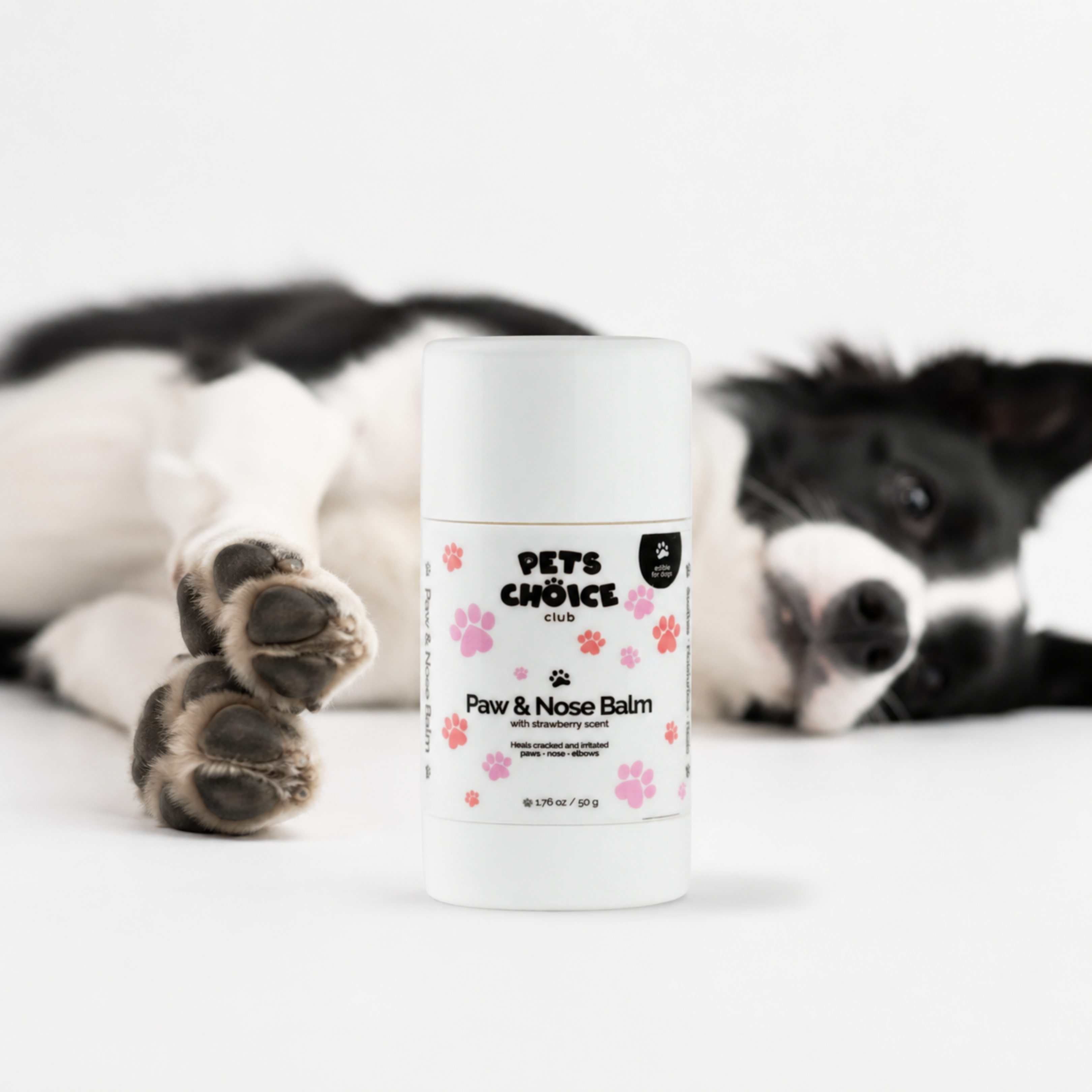 A white cylindrical container of Pets Choice Pet Paw & Nose Balm stands in the foreground on a white surface, with a black-and-white dog lying blurred in the background.