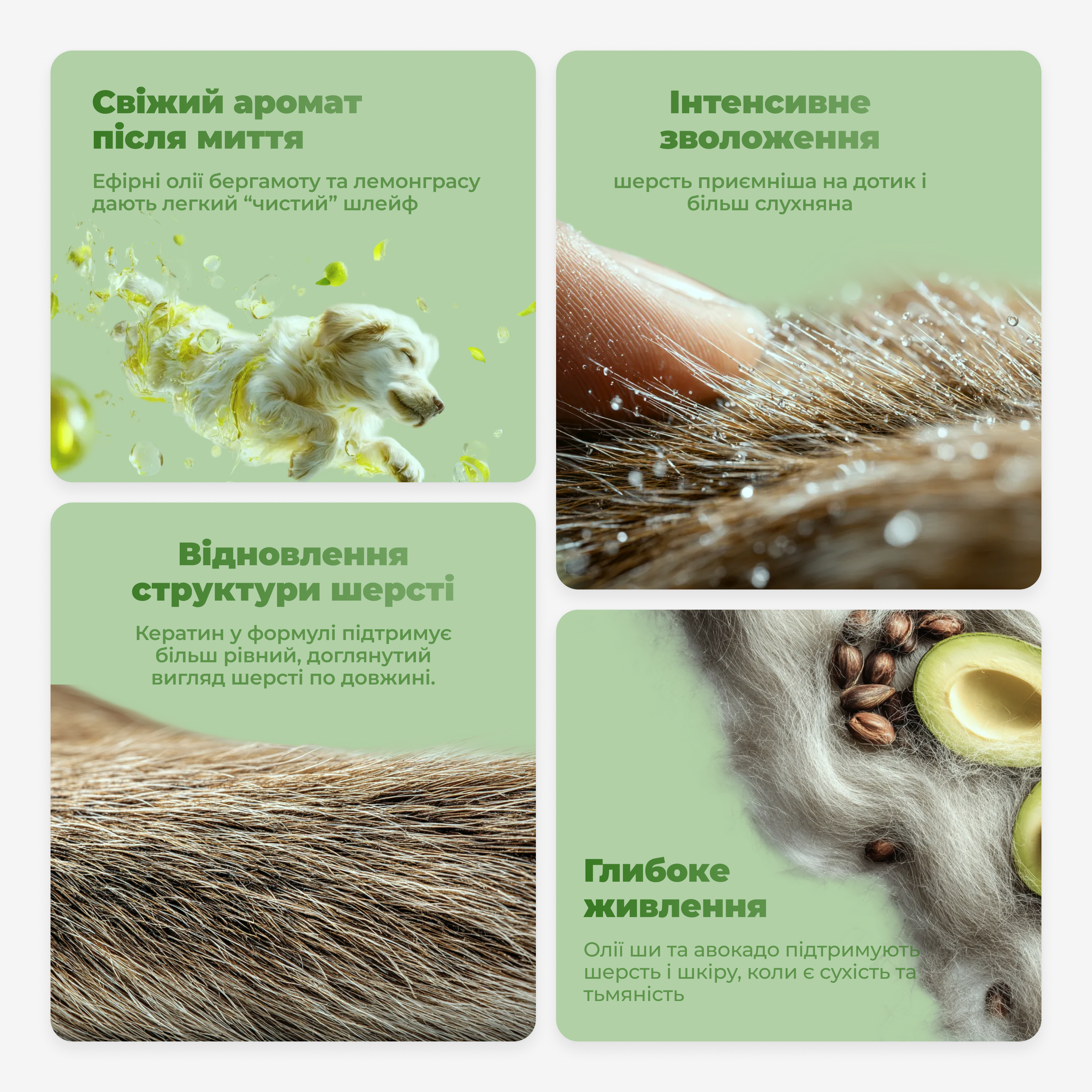 Promotional graphic for a pet grooming product with images of a dog, fur, and avocado on a green background.