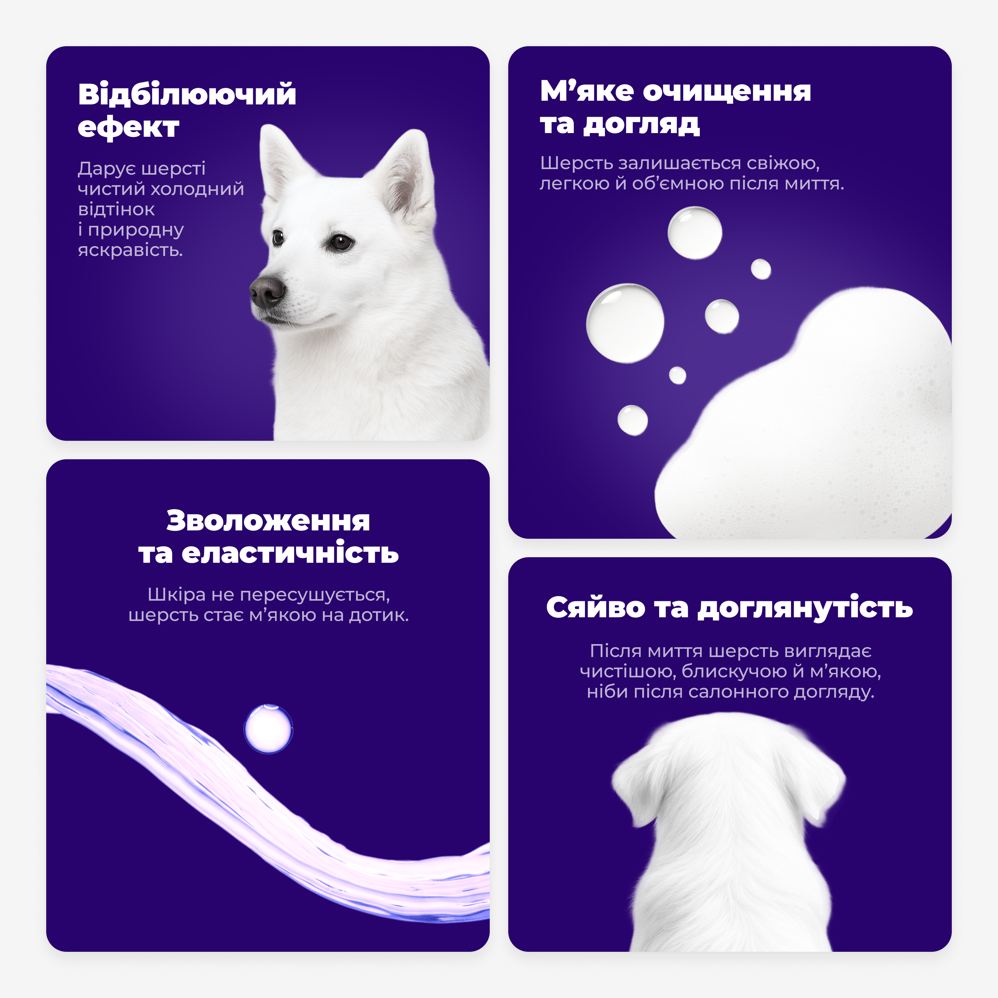 Product advertisement with a white dog and text on a purple background